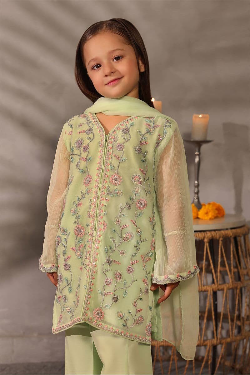 Chiffon Embroidered 3 Pc Suit