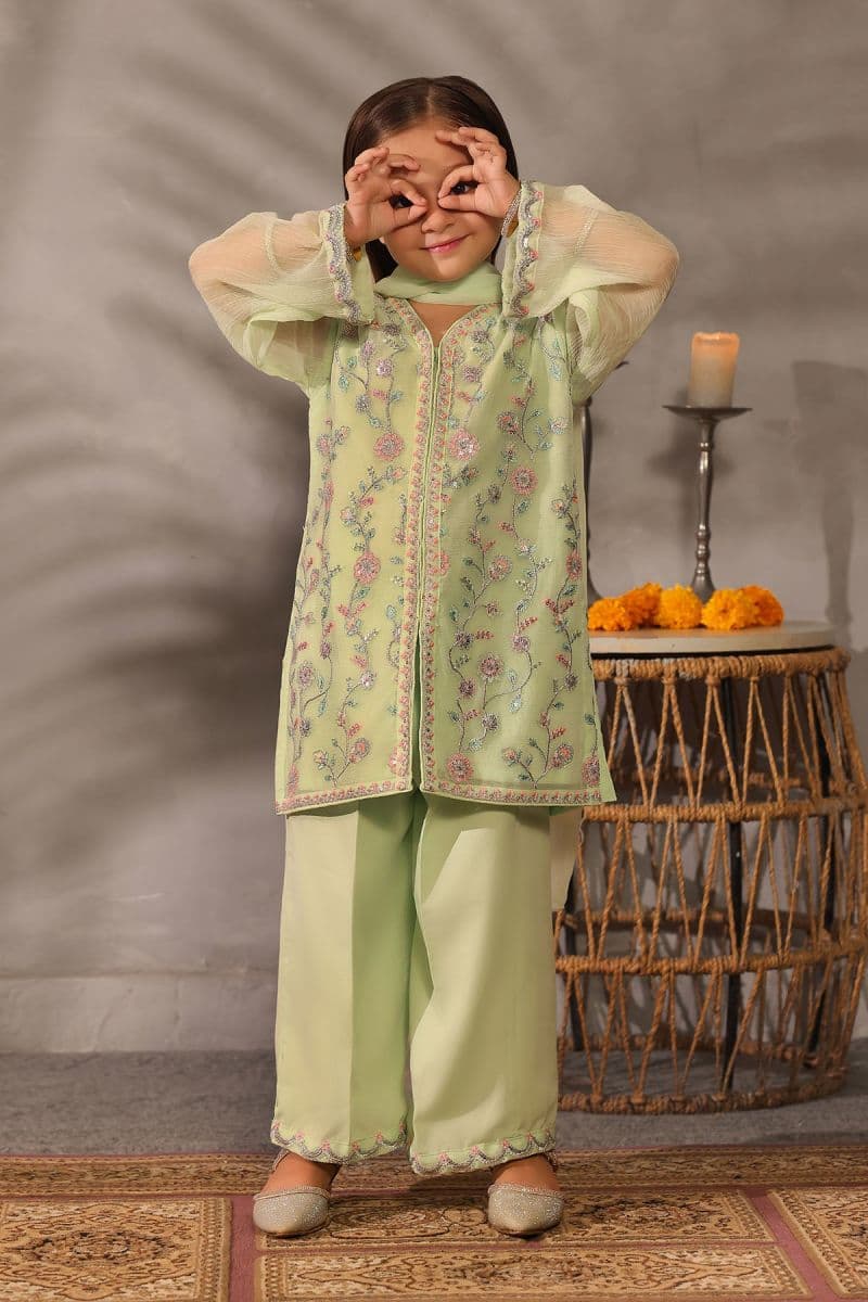 Chiffon Embroidered 3 Pc Suit