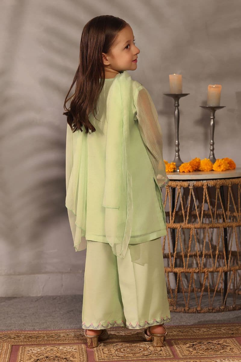 Chiffon Embroidered 3 Pc Suit