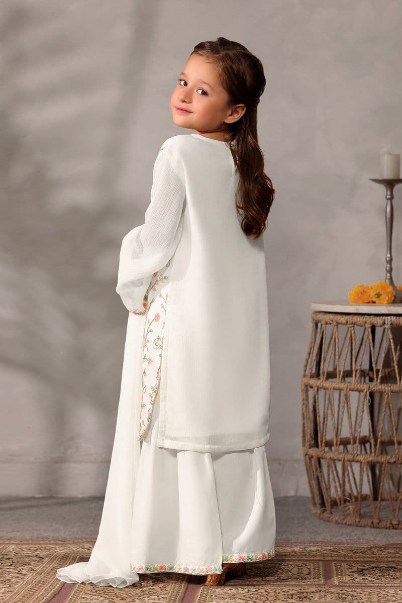 Chiffon Embroidered 3 Pc Suit