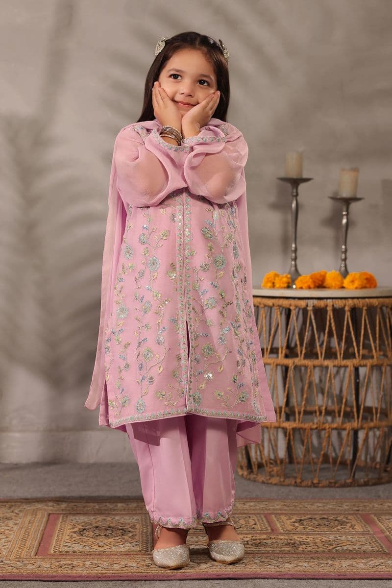 Chiffon Embroidered 3 Pc Suit thumbnail