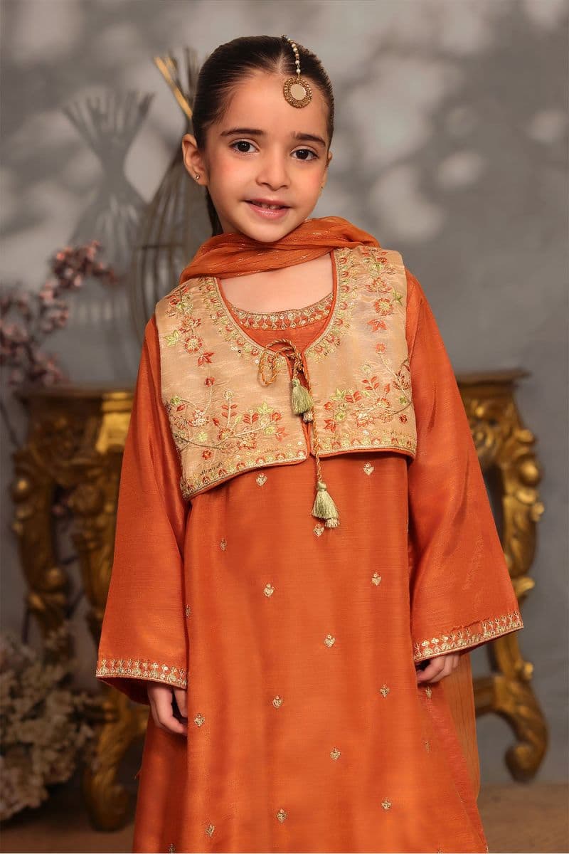 Cotton Silk Embroidered 3 Pc Suit