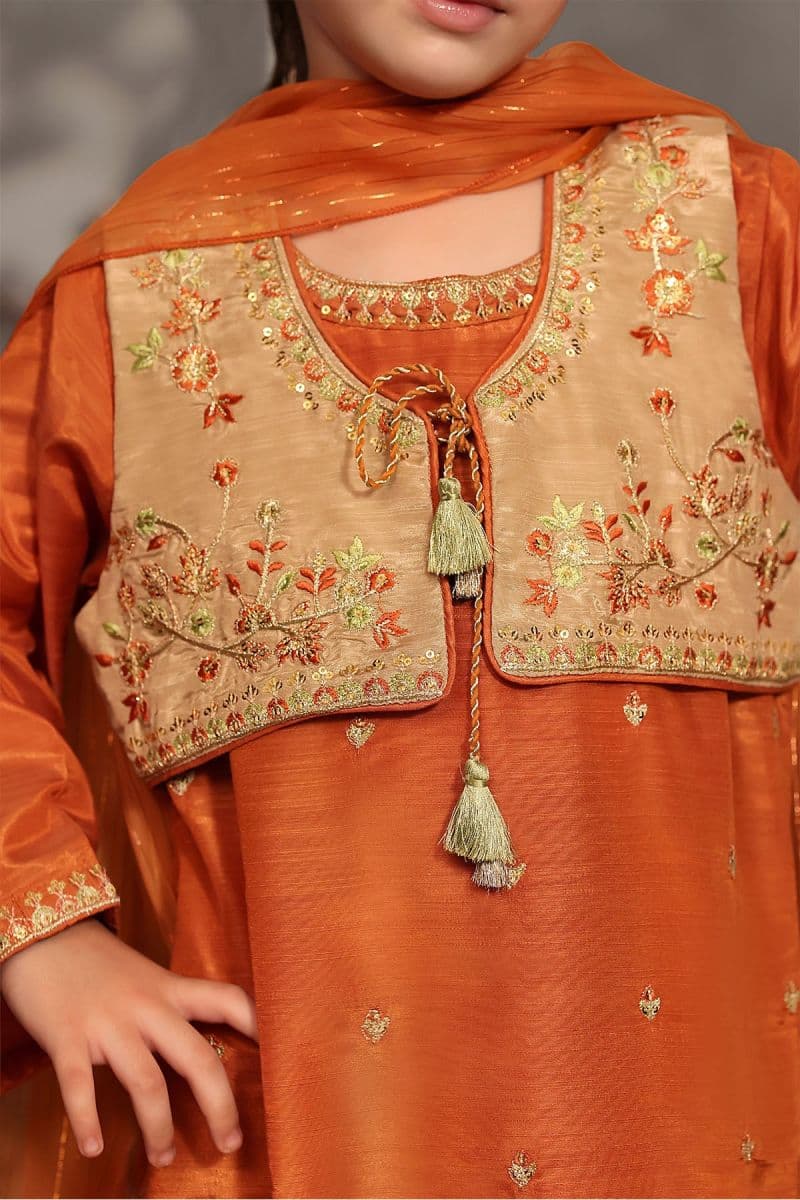 Cotton Silk Embroidered 3 Pc Suit