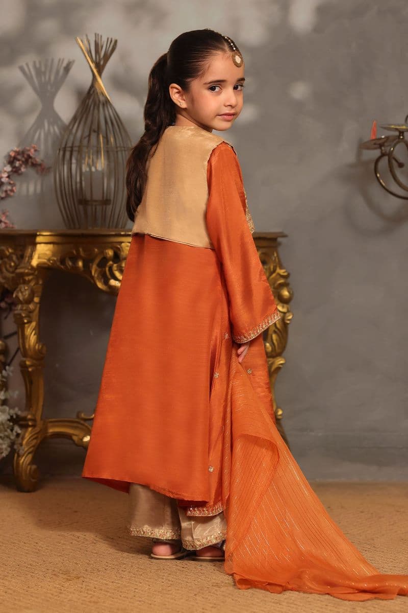 Cotton Silk Embroidered 3 Pc Suit