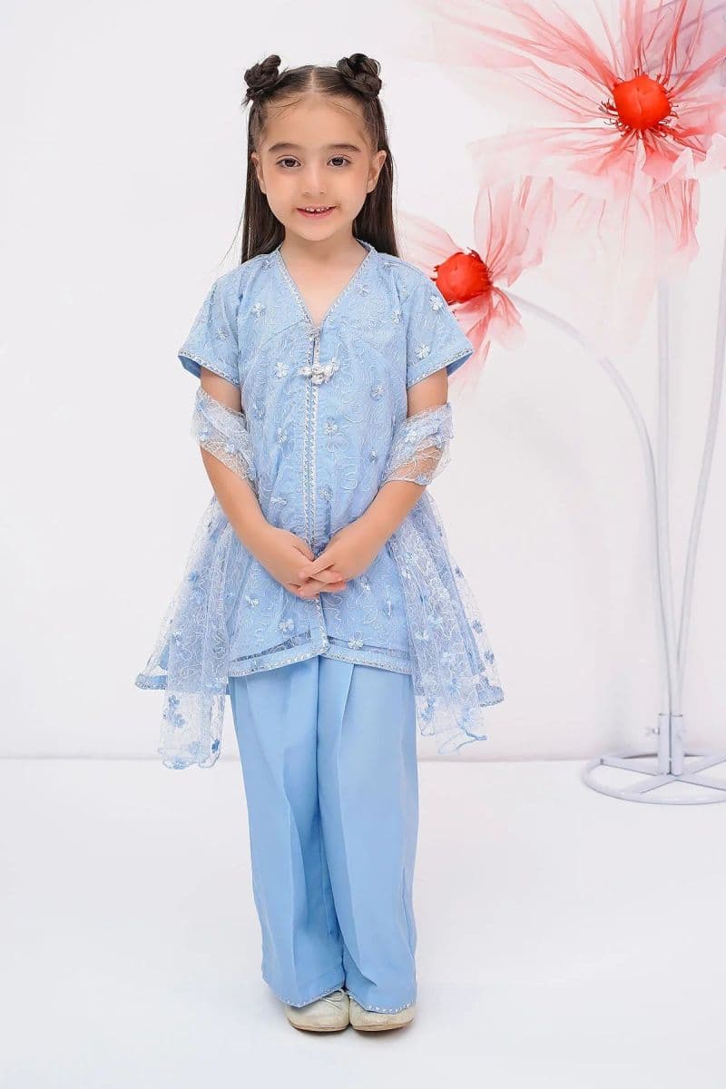 Embroidered Net 3 Pc Suit thumbnail