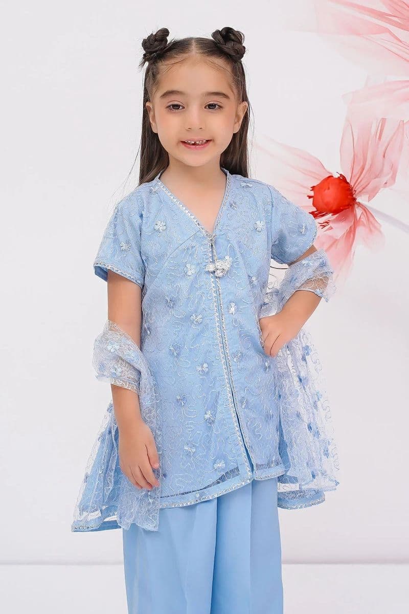 Embroidered Net 3 Pc Suit thumbnail