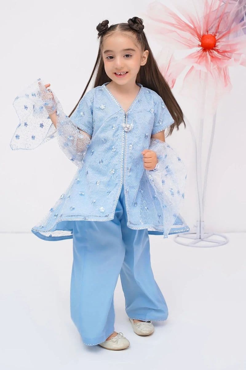 Embroidered Net 3 Pc Suit thumbnail
