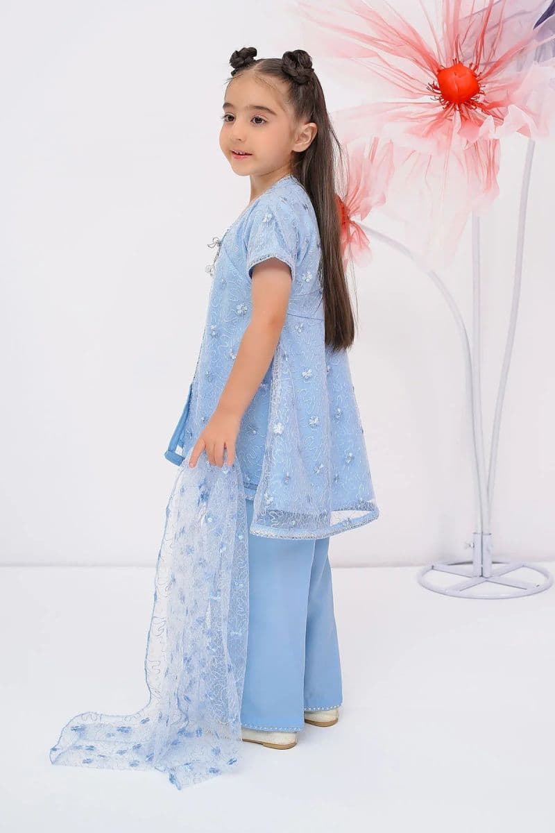 Embroidered Net 3 Pc Suit thumbnail