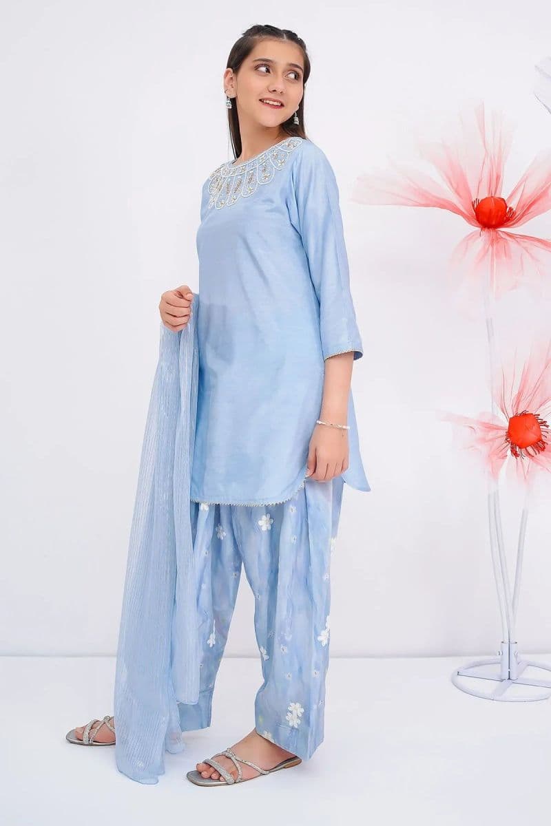 Cotton Silk Hand Adda Work 3 Pc Suit