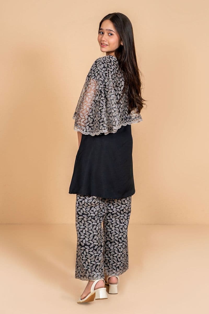 Net Embroidered 2 Pc Suit thumbnail