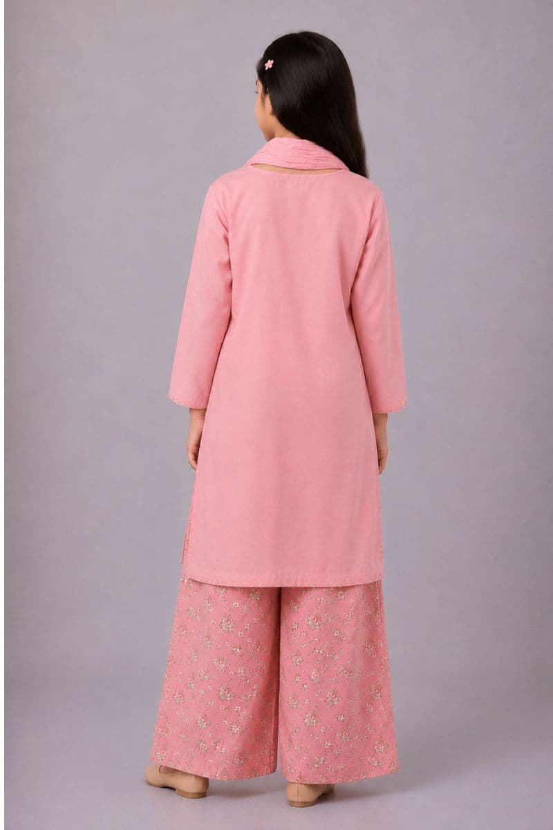 Cotton Embroidered 3 Pc Suit thumbnail