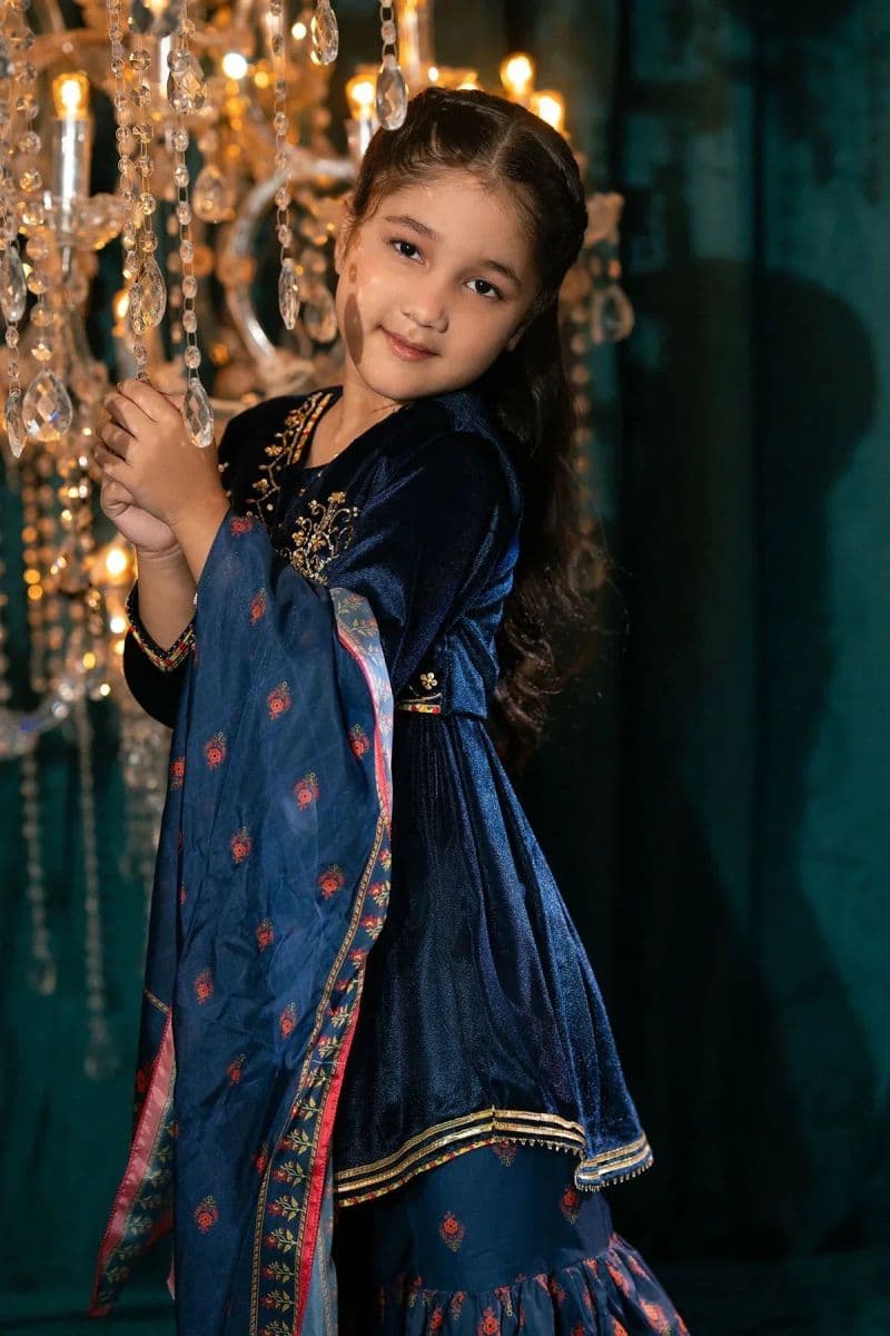 Velvet Hand Adda Work 3 Pc Suit Mini