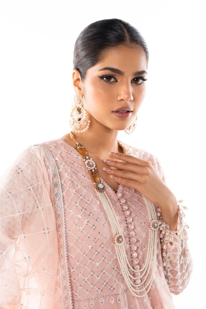 Tea Pink Embroidered Organza Trouser thumbnail