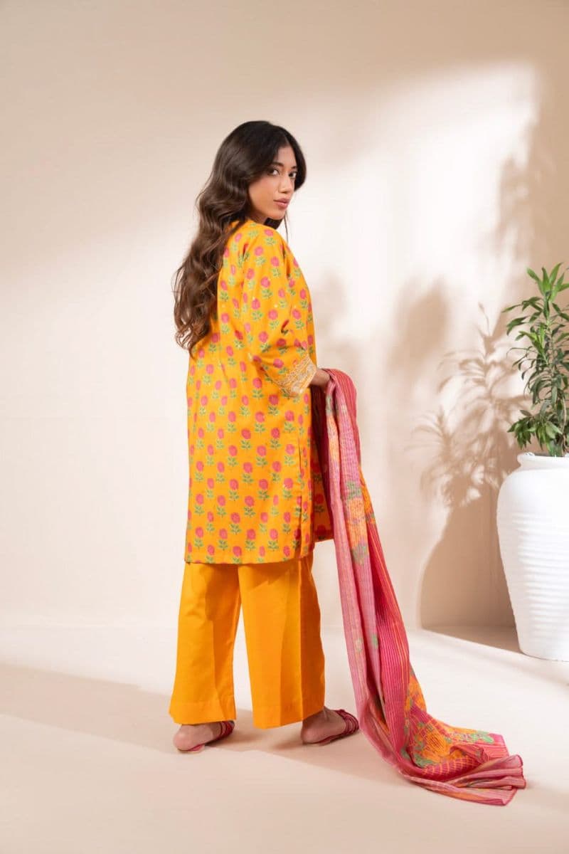 RTW | SHIRT & DUPATTA thumbnail