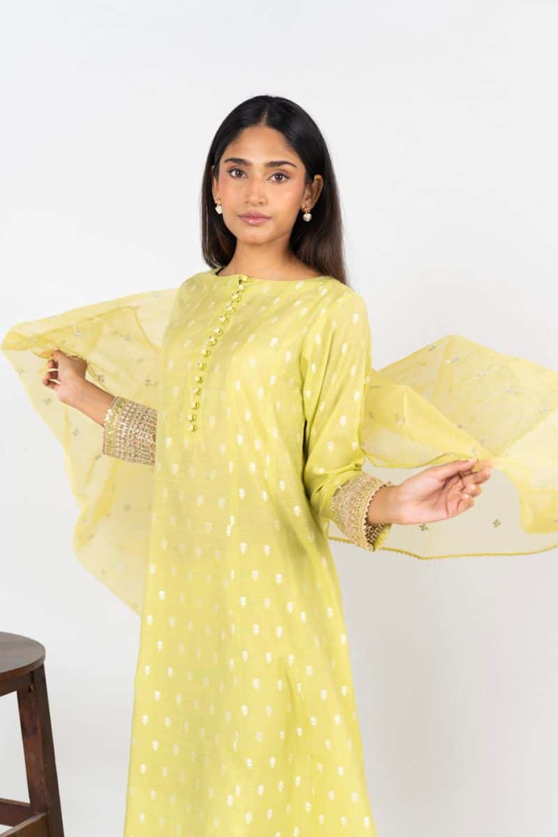 RTW | SHIRT, TROUSER & DUPATTA - alternate view