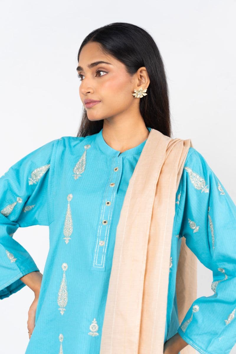 RTW | SHIRT, CULOTTE & DUPATTA thumbnail