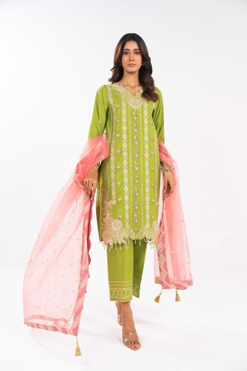 RTS | SHIRT, TROUSER & DUPATTA thumbnail