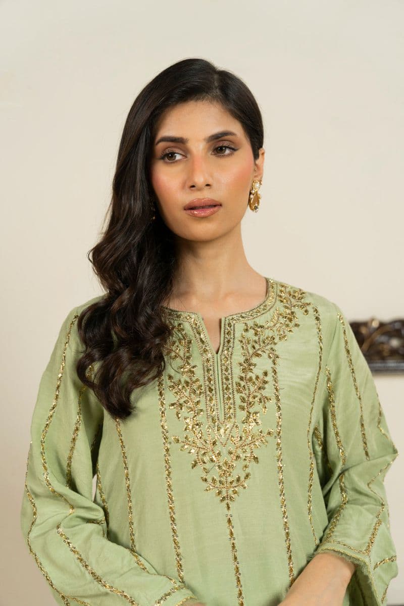 Green Embroidered Shinny Viscose 2 Piece Ready-to-Wear Suit thumbnail