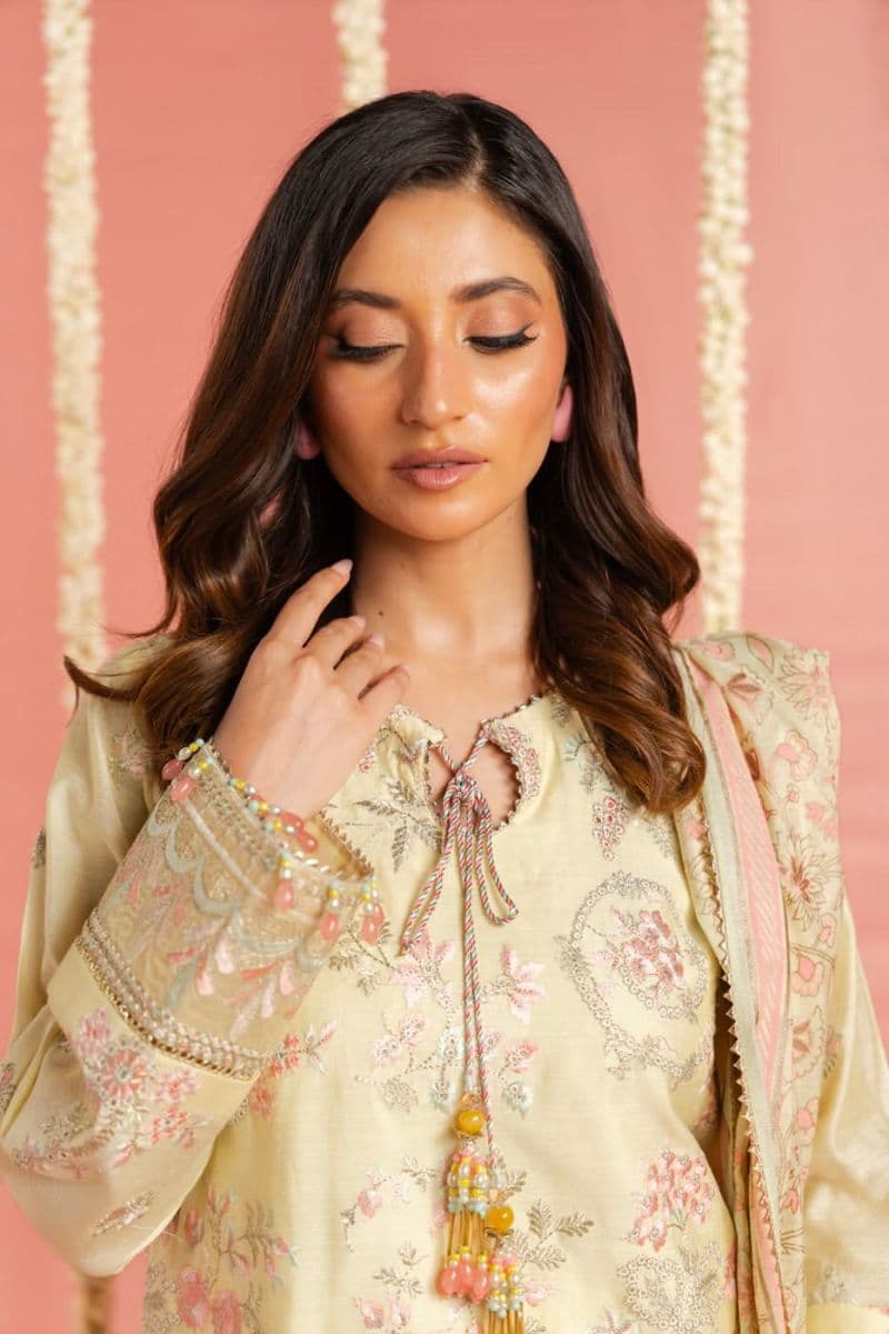 RTS | SHIRT, TROUSER & DUPATTA thumbnail
