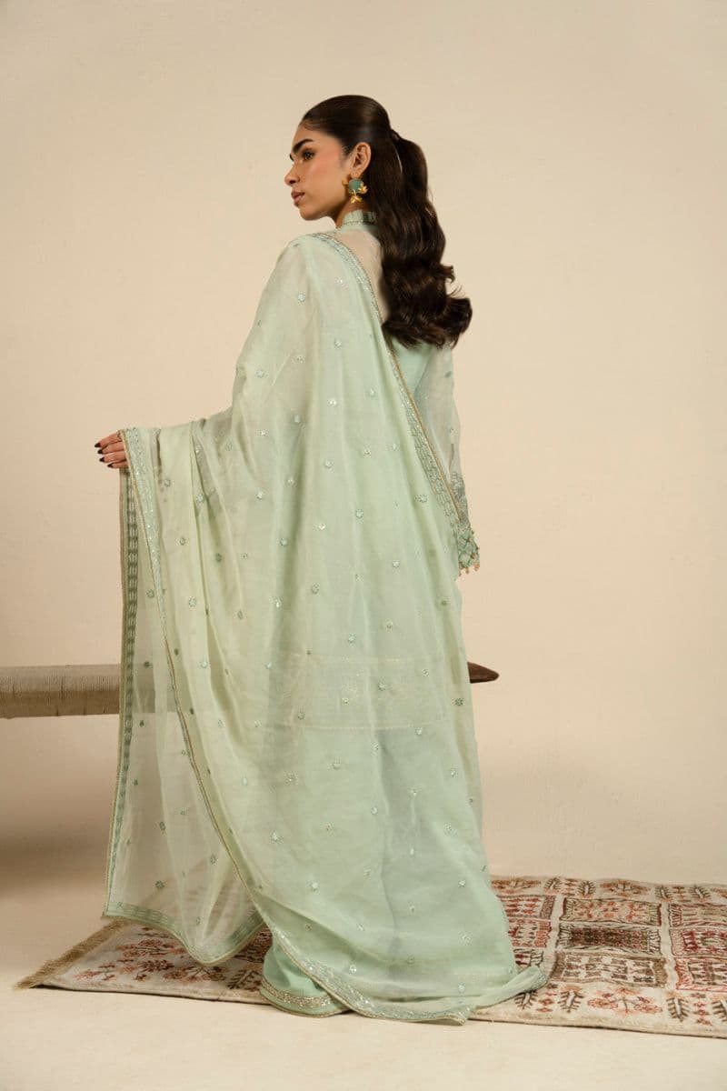 Mint Green Embroidered Organza 3 Piece Unstitched Suit thumbnail