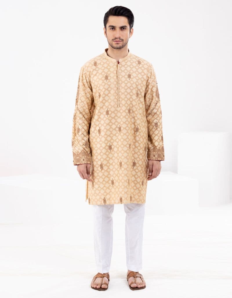 Beige Formal Kurta thumbnail