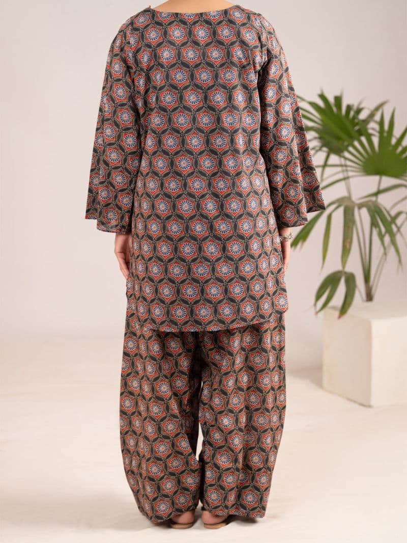 Multicolor Lawn Co-Ord Set thumbnail