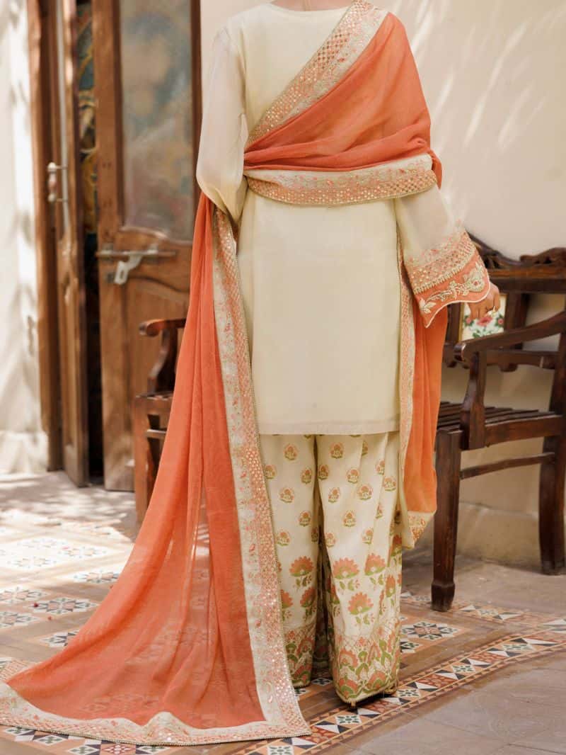 Embroidered Chiffon Ready-to-Wear Suit (LS-627) - alternate view