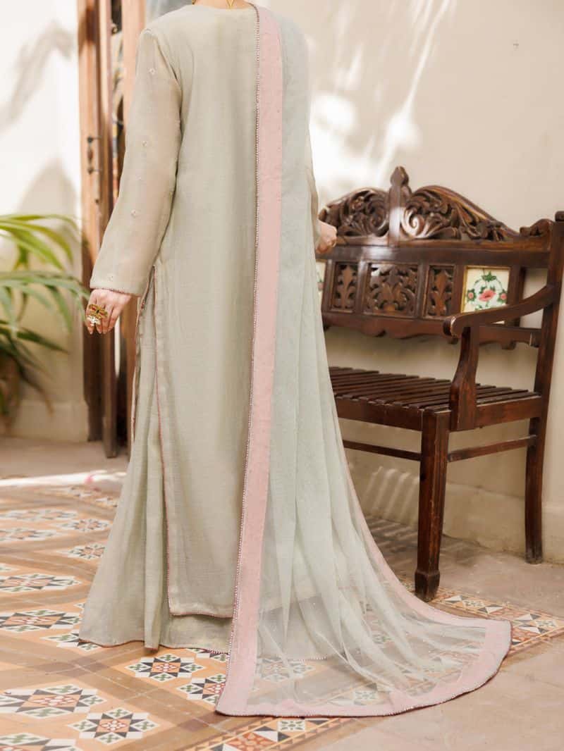 Pistachio Green Formal Mesuri Zari Stitched 3Pc - alternate view