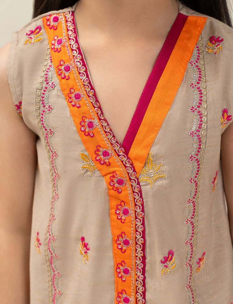 2 PIECE SLEEVELESS ETHNIC EMBROIDERED SUIT - alternate view