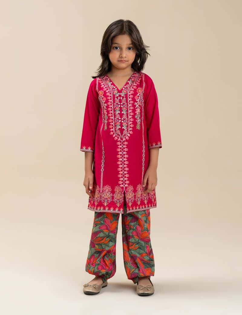 2 PIECE ETHNIC EMBROIDERED SUIT