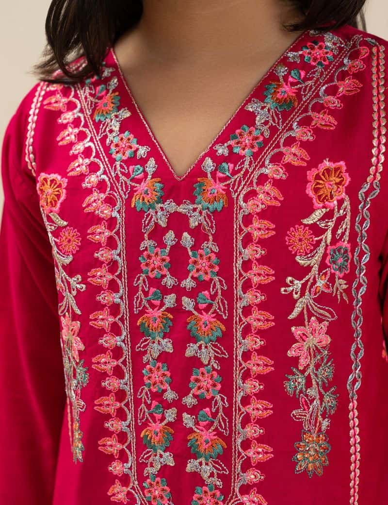 2 PIECE ETHNIC EMBROIDERED SUIT - alternate view