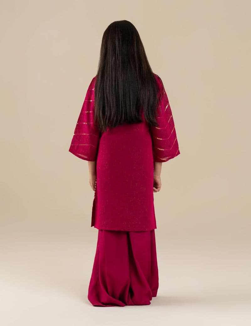 2 PIECE ETHNIC EMBROIDERED SUIT thumbnail