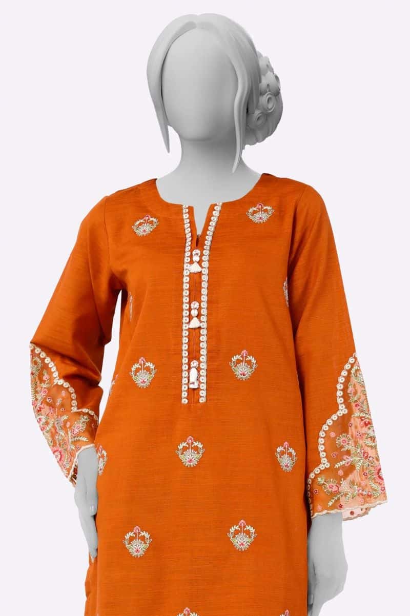 Embroidered Shirt - alternate view