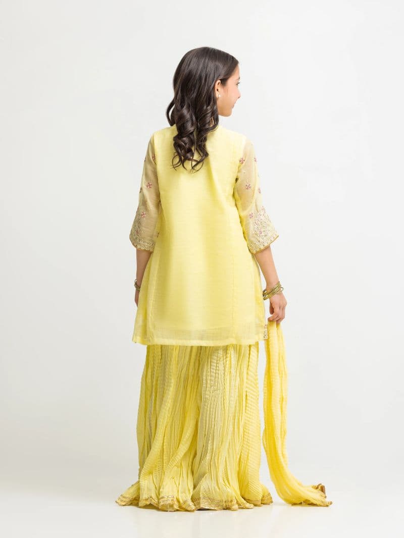 Embroidered Chanderi Gharara Suit thumbnail