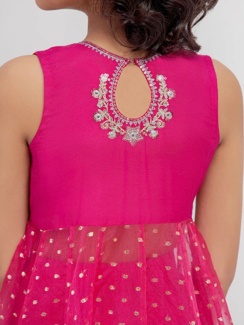 Embroidered Organza Suit thumbnail