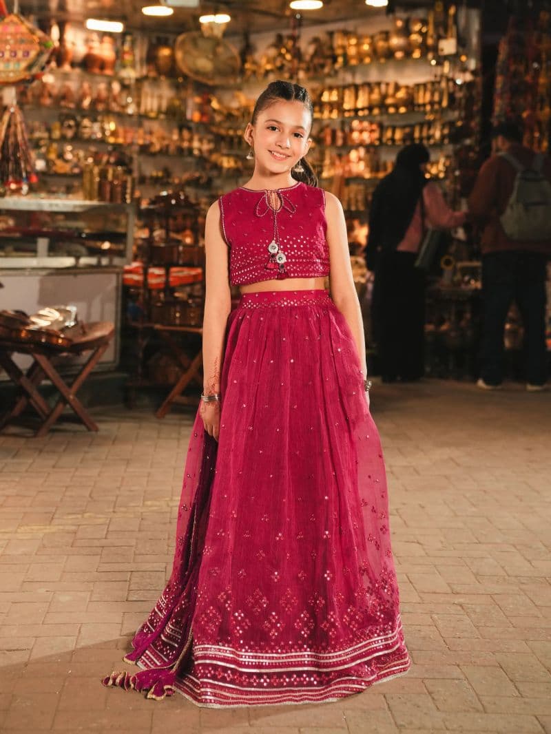 Embroidered Cotton Net Lehenga Suit thumbnail