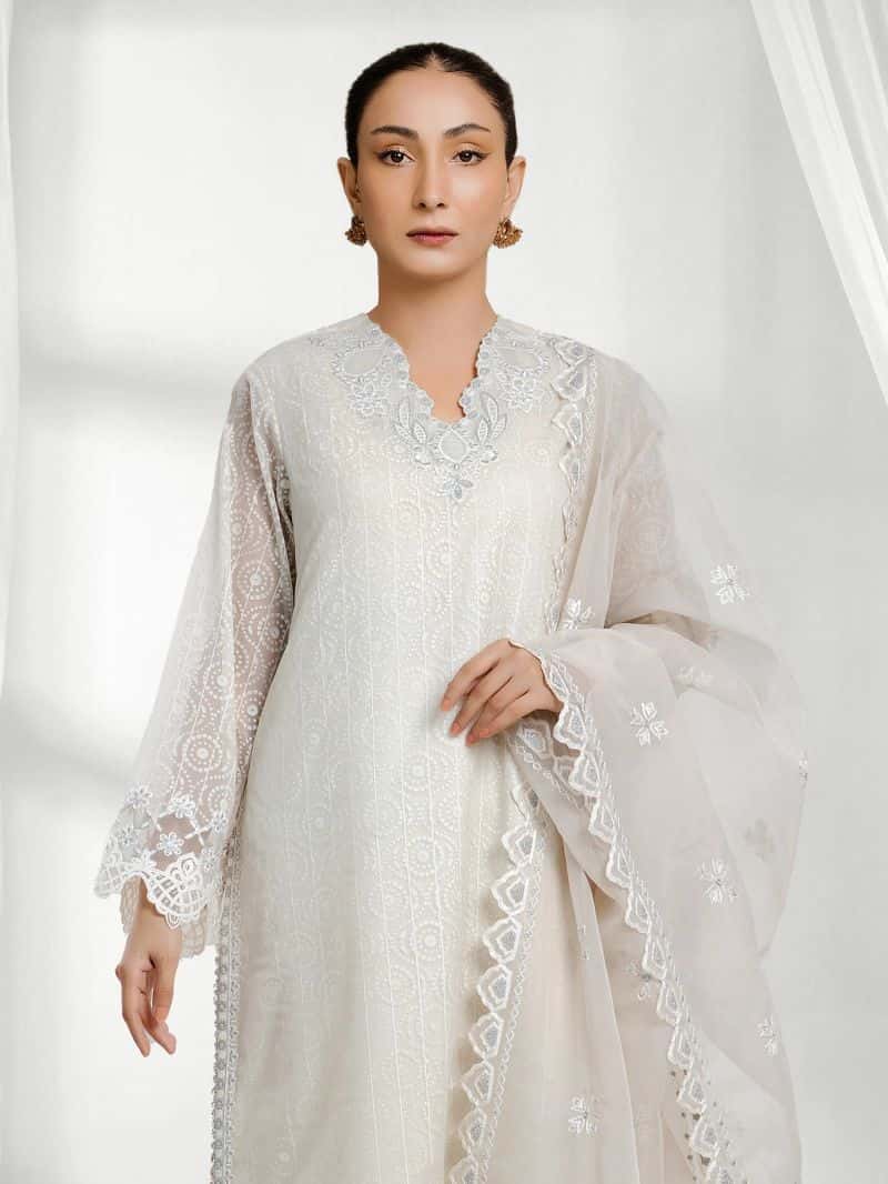 Embroidered Chiffon Suit - alternate view