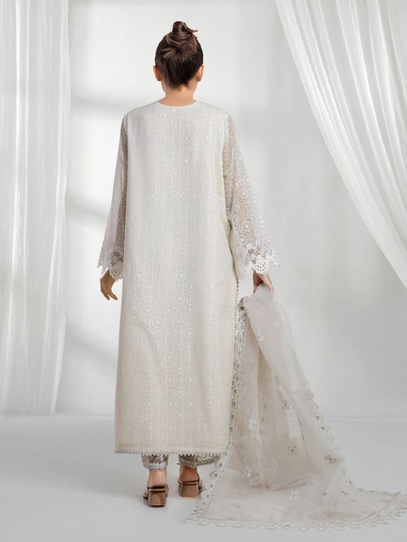 Embroidered Chiffon Suit thumbnail