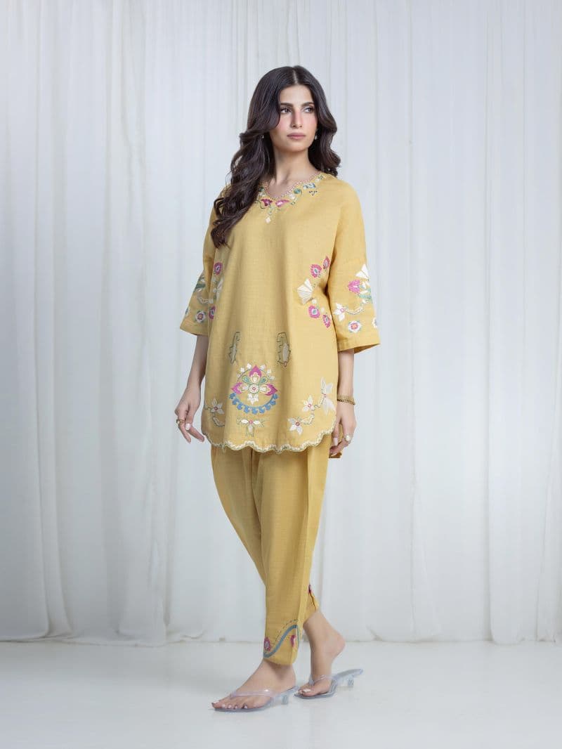 Embroidered Khaddar Co-Ord Set thumbnail