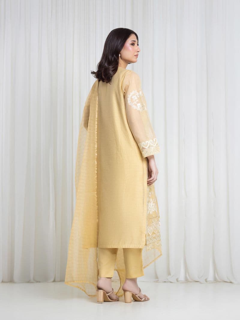 Embroidered Net Suit thumbnail