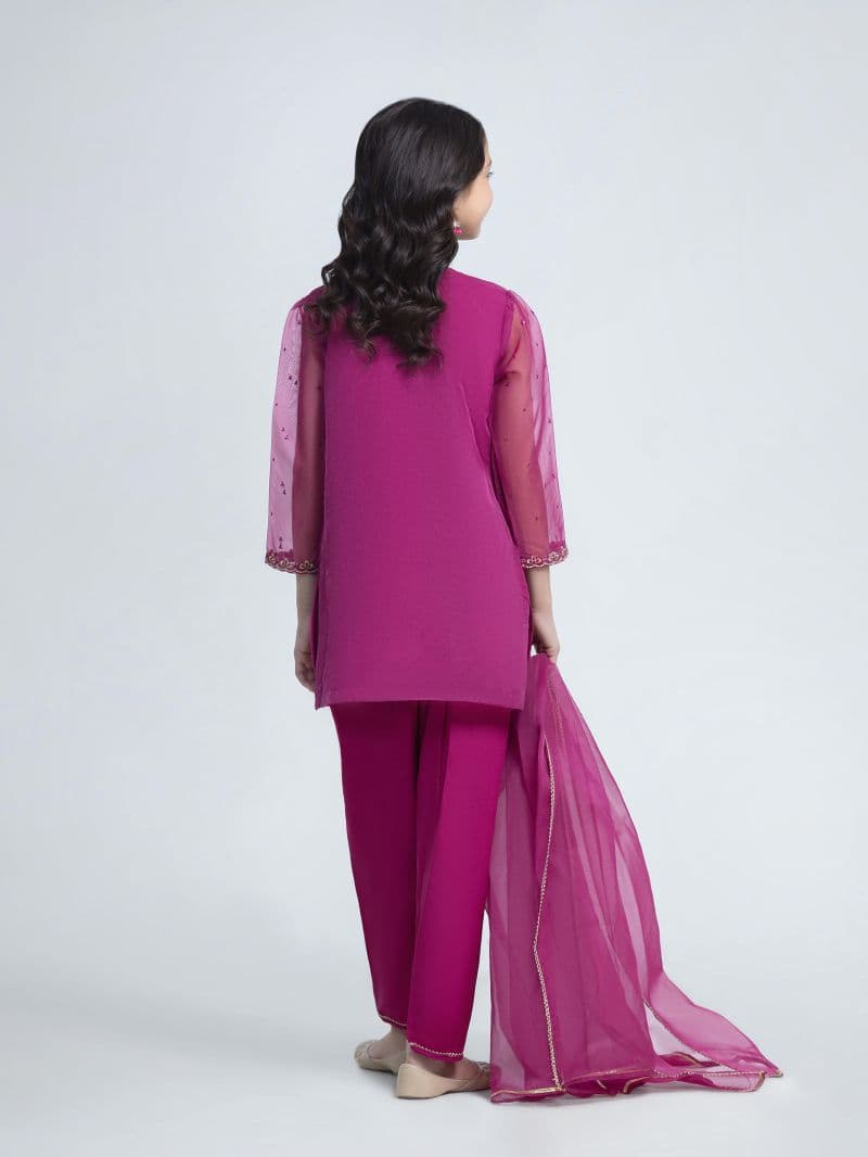 Dyed Organza Suit - EGTPLED6-50106-3P thumbnail