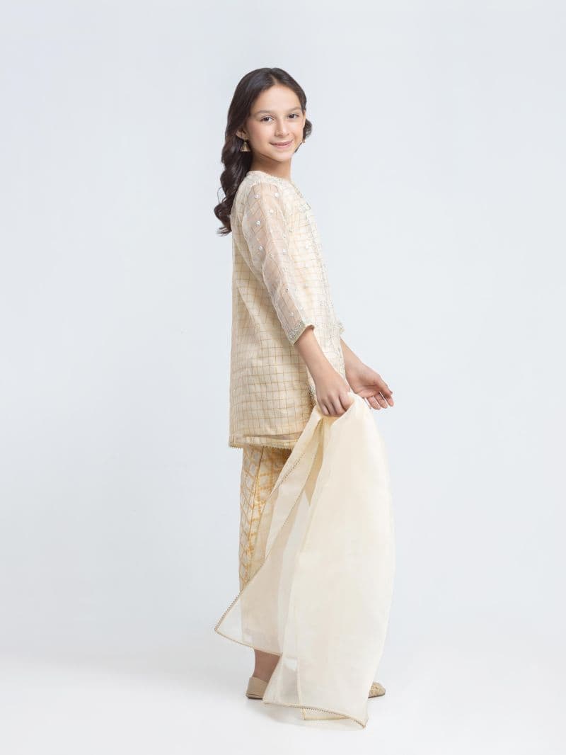 Embroidered Organza Suit - EGTPLED6-50119-3P thumbnail