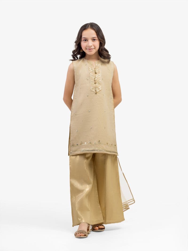 Embroidered Net Suit - EGTPLED5-50070-3P thumbnail