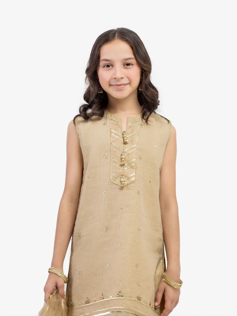 Embroidered Net Suit - EGTPLED5-50070-3P thumbnail