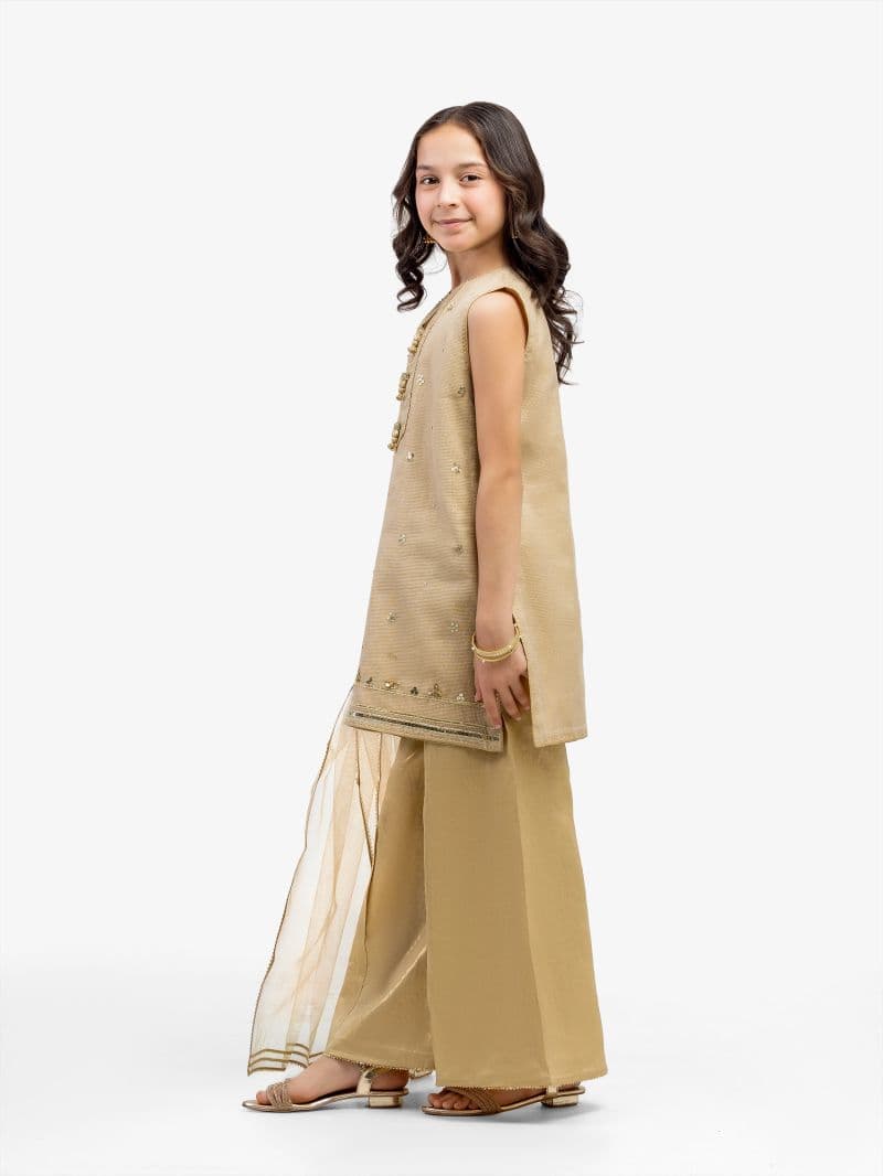 Embroidered Net Suit - EGTPLED5-50070-3P thumbnail