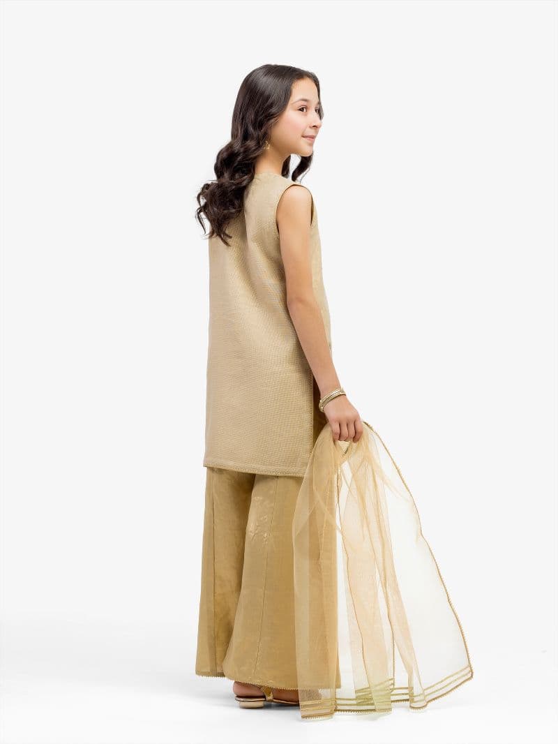Embroidered Net Suit - EGTPLED5-50070-3P thumbnail