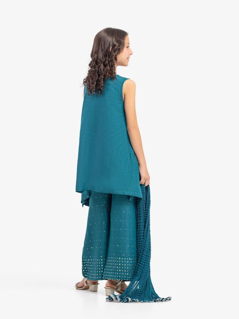 Embroidered Raw Silk Suit - EGTPLE5-50044-3P thumbnail