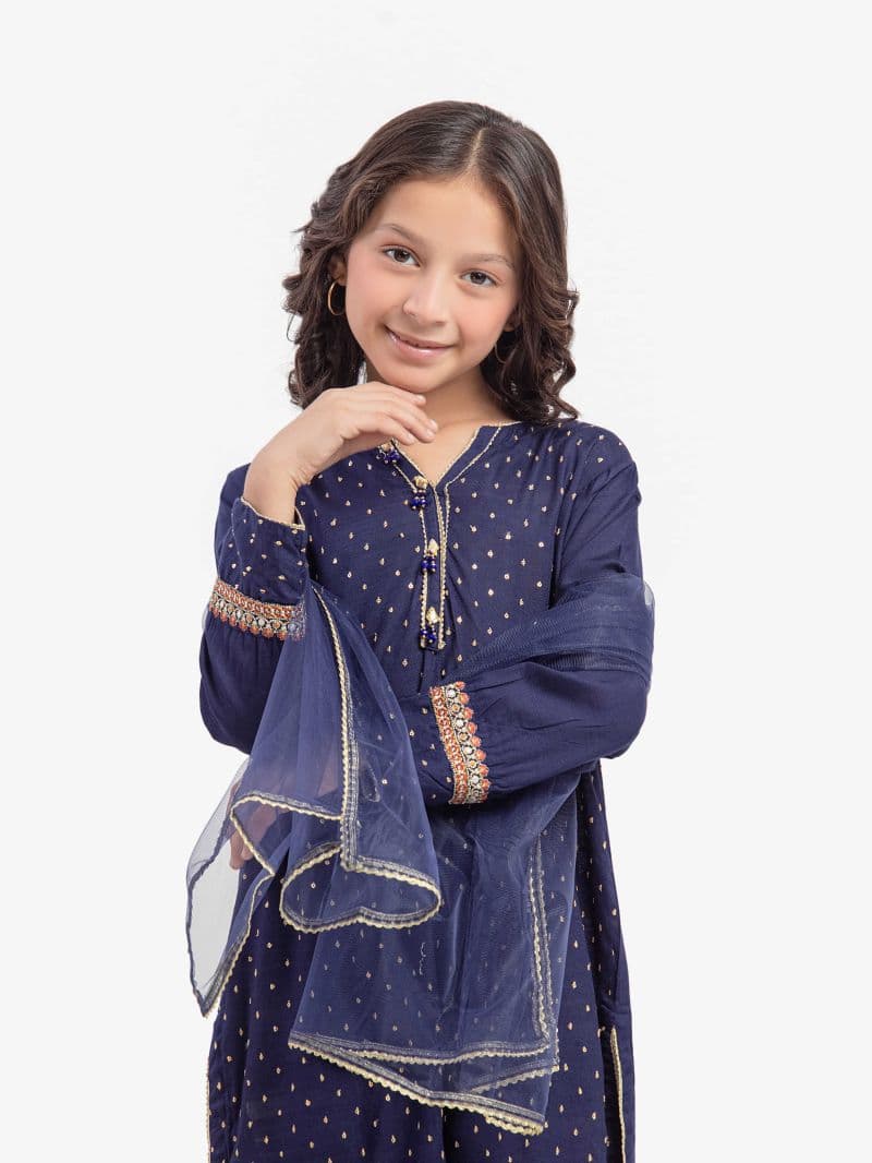 Embroidered Raw Silk Suit - EGTPLE5-50039-3P thumbnail
