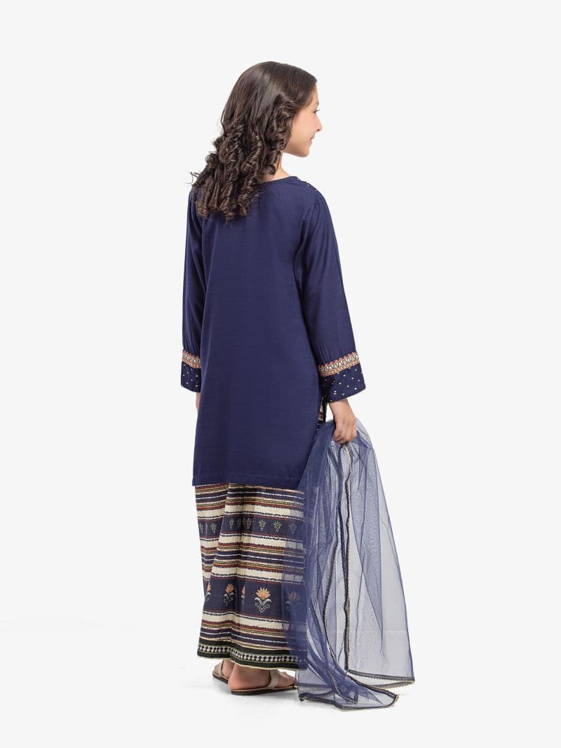 Embroidered Raw Silk Suit - EGTPLE5-50039-3P thumbnail