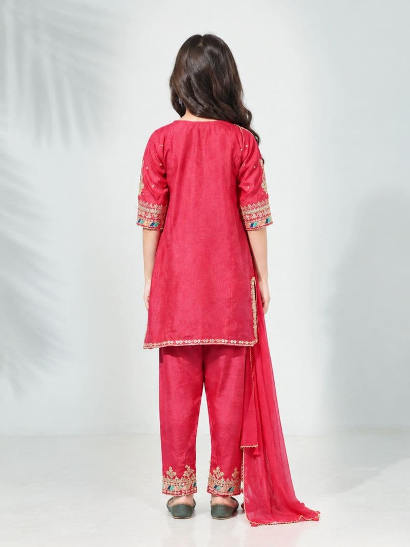 Embroidered Silk Suit - EGTPLED6-50117-3P thumbnail